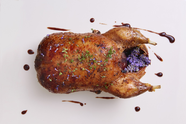 Festtagsessen Malerwinkl, verwandten, verwandtebesuch, entebraten, truthan, essen abholung