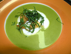 Brennesselsuppe
